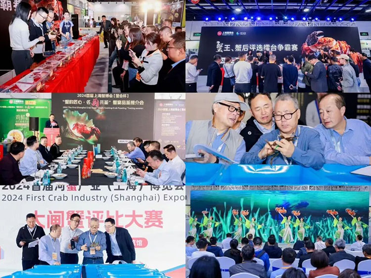 图片15.jpg